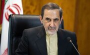 ولایتی: چه کسی پاسخ جنایت میناب را می‌دهد؟