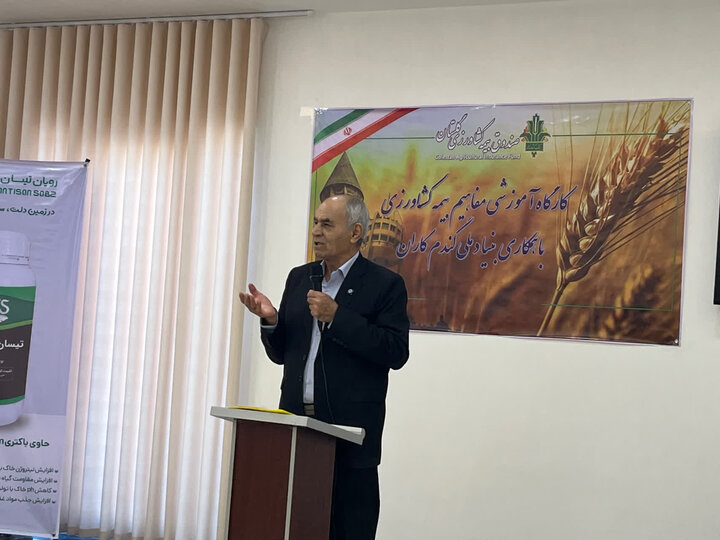 تعیین نرخ گندم بر مبنای هزینه تولید و تورم/پیشنهاد ۸۵ هزار تومانی روی میز