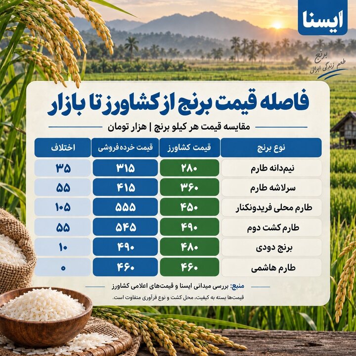 برنج در انبار ماند؛ کشاورزان به امید اصلاح قیمت، قطره‌چکانی می‌فروشند