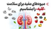 اینفوگرافیک/ میوه‌های مفید برای سلامت «کلیه» را بشناسیم