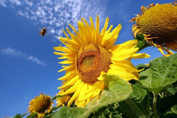 کاهش تدریجی دمای هوای همدان از روز جمعه