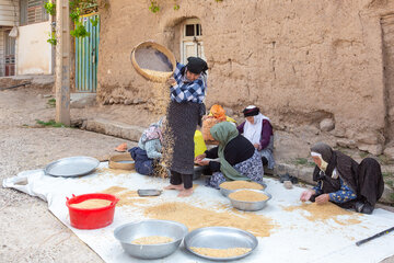 زنان روستای برزنون در حال پاک‌کردن و بوجاری گندم پس از برداشت محصول در فصل تابستان.