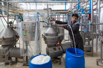 یک کارگر در حال فعالیت در شرکت تولیدی فرآورده‌های لبنی برزین مهر خراسان در روستای برزنون در فصل تابستان.