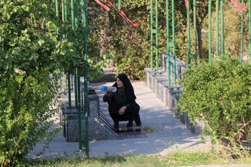 آیین ملی مهمانی لاله ها _ گلزار شهدای همدان