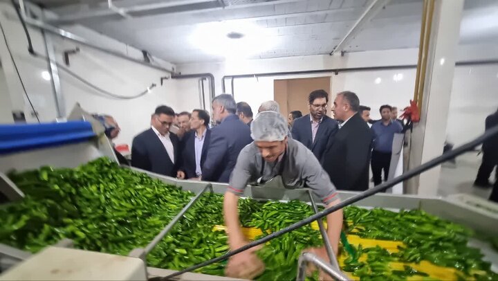 افتتاح دو طرح صنایع تبدیلی و ورزشی در بهار