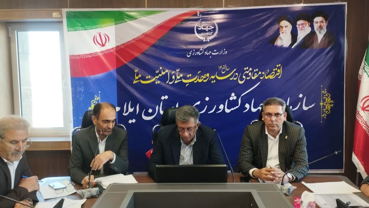 یازدهمین کاروان ترویج بهرهوری الگوی کشت محصولات زراعی در ایلام برگزار میشود