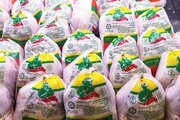 ذخیره‌سازی ۶۵۰ تُن گوشت مرغ در همدان