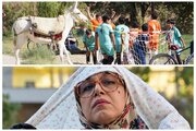 آمار فروش سینما در روزهای نخست پاییز