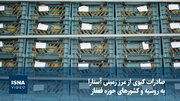 صادرات کیوی از مرز زمینی آستارا به روسیه و کشورهای حوزه قفقاز