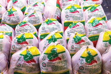 ذخیره‌سازی ۶۵۰ تُن گوشت مرغ در همدان