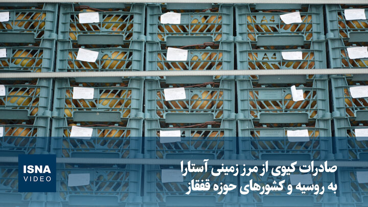 صادرات کیوی از مرز زمینی آستارا به روسیه و کشورهای حوزه قفقاز