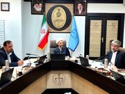 تأکید معاون اول قوه قضاییه بر اجرای دقیق قانون در پرونده گروه عظام و صیانت از تولید
