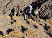 ۴ مسیر برای دسترسی به آبادی‌های کوه‌جفتان شهداد پیمایش شد