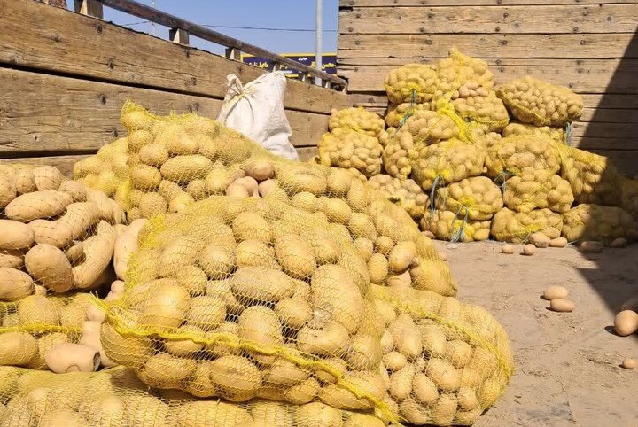 توزیع سیب‌زمینی تنظیم بازار در نقاط مختلف فارس ادامه دارد