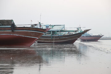 طلوع در ساحل «سورو»