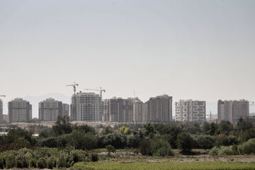 این پساب به دلیل دارا بودن فسفات و ازت بالا، رشد درختان این منطقه را سرعت بخشیده، اما این ازت باعث می‌شود تا در طول چندسال خاک زمین‌ها پوک شود و قابل زراعت و استفاده نباشد. از سوی دیگر ساکنان این منطقه از بوی تعفن پساب گلایه دارند.