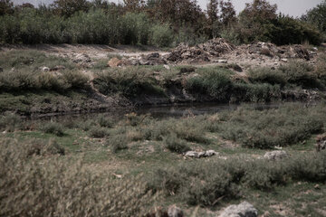 مصرف سبزی و صیفی جات که با پساب فاضلاب آبیاری می‌شوند پیامدهای بسیار بدی مانند بیماری‌های صعب العلاج به ویژه سرطان‌ها را به دنبال دارد و بار میکروبی پسابی که اکنون از تصفیه‌خانه‌های فاضلاب بیرون می‌آید صدر صد بالاتر از میزان استاندارد است اما با وجود این کشاورزان آن را به صورت غیرقانونی و پنهانی استفاده می‌کنند.