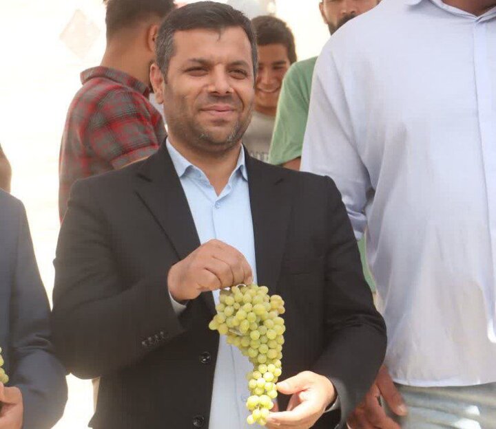 نخستین جشنواره انگور در روستای وصله کبودراهنگ برگزار شد