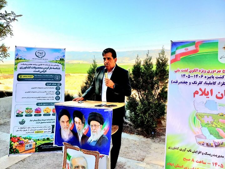 الگوی کشت در ایوان باید به‌سمت محصولات اقتصادی و سازگار با اقلیم حرکت کند