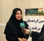 تولید بیش از ۱۴۶ هزار تن محصول سبزی و صیفی در ایلام/ شکوفایی کشاورزی با مدیریت نوین آبی