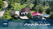 تحصیل در دل جنگل‌های هیرکانی
