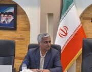 بدون ضمانت اجرایی، الگوی کشت پایدار نمی‌شود/ تأکید بر شرکت‌های دانش‌بنیان