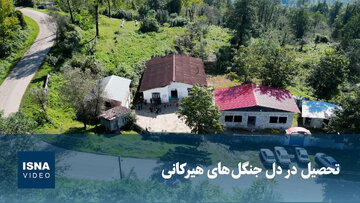 تحصیل در دل جنگل‌های هیرکانی