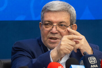 سیدجواد حسینی، رئیس سازمان بهزیستی کشور در نشست خبری گرامیداشت روزهای جهانی ناشنوایان و سالمندان