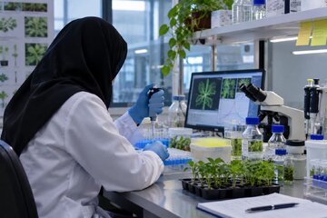 چالش جذب نخبگان در دانشگاه‌ها؛ از پذیرش در «جهت» تا بلاتکلیفی در استخدام