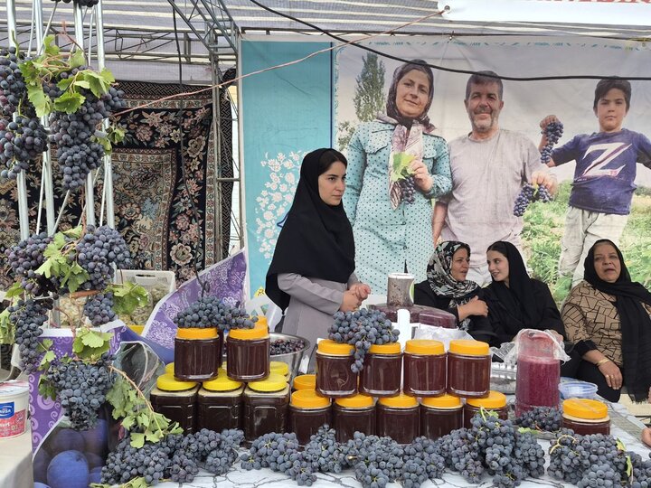 سومین جشنواره انگور؛ از معرفی برند جهانی ملایر تا مطالبه باغداران برای حمایت از صادرات