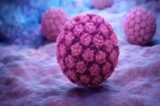 تأکید رئیس دانشگاه علوم پزشکی خراسان‌شمالی بر ضرورت آگاهی‌بخشی علمی درباره HPV