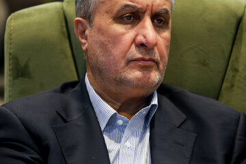 محمد اسلامی، رئیس سازمان انرژی اتمی در سی و سومین اجلاس سراسری نماز - حرم مطهر رضوی