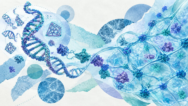 ساخت مواد هوشمند با کمک DNA و پروتئین