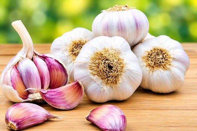 از خواص ضدمیکروبی تا حفاظت از قلب؛ علم درباره سیر چه می‌گوید؟