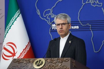 تاکید بقائی بر ضرورت رعایت حقوق بشر از سوی دولت فرانسه در برخورد با معترضان