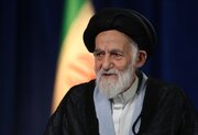 آیت‌الله شبیری زنجانی: خودحق‌پنداری و تندروی به جامعه آسیب می‌زند