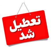 تعطیلی مدارس، دانشگاه‌ها و ادارات کرمان و زرند به دلیل آلودگی هوا