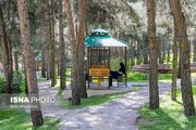 فرماندار تاکید کرد: لزوم برخورد قاطع با متصرفان فضای سبز  شهر اهواز 