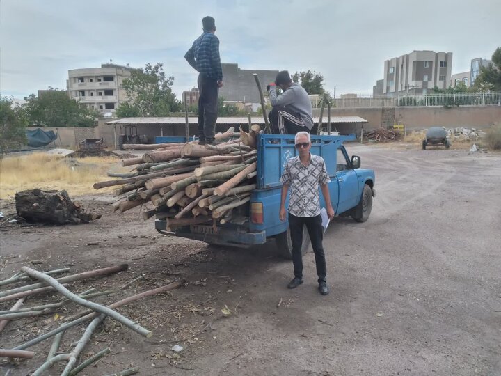 نیسان حامل چوب بید در نهاوند توقیف شد