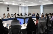تشریح ظرفیت‌های حمایتی معاونت علمی ریاست‌جمهوری برای متخصصان طرح «کانکت»