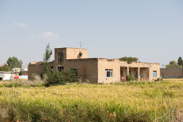 در اکثر خانه های روستایی کامفیروز و روستاهای اطراف آن حیاط خانه های روستا مزارع شالیزار است 