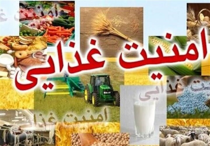 تخلفات حوزه امنیت غذایی و سلامت، خط قرمز دستگاه قضا