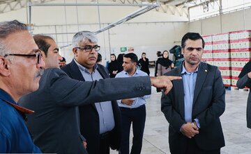 صدور ۲۸۴ تأییدیه ایمنی آسانسور در هرمزگان / مسئولیت حوادث با مالکان است