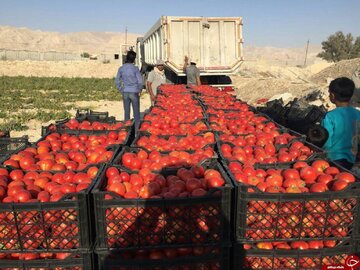 برگزاری نهمین نشست ستاد هماهنگی روابط اقتصادی خارجی با موضوع صادرات محصولات کشاورزی