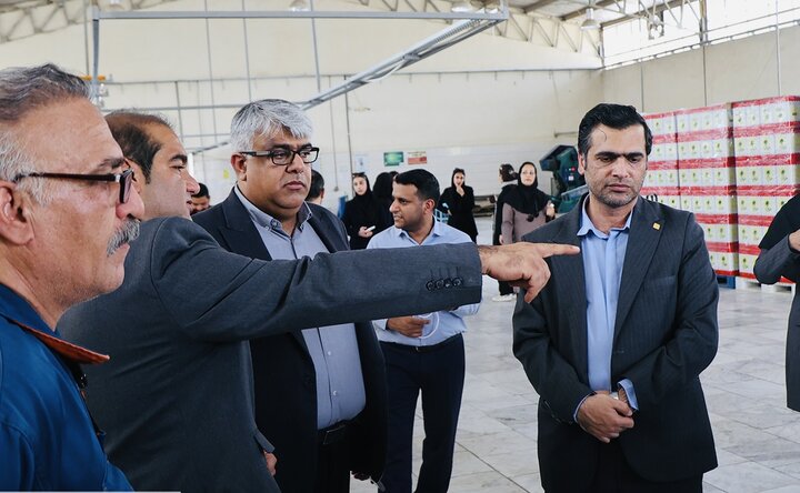 صدور ۲۸۴ تأییدیه ایمنی آسانسور در هرمزگان / مسئولیت حوادث با مالکان است