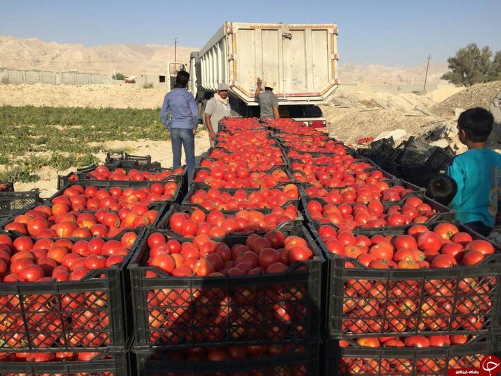 برگزاری نهمین نشست ستاد هماهنگی روابط اقتصادی خارجی با موضوع صادرات محصولات کشاورزی