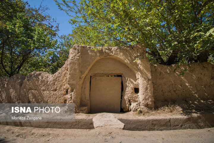 تاکستان‌های تیران؛ ظرفیتی برای توسعه گردشگری کشاورزی