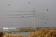 وضعیت «نارنجی» هوا در ۷ شهر خوزستان 