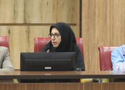 درخواست تدوین برنامه ملی برای پایش آثار آلودگی‌ها بر سلامت زنان ایلام