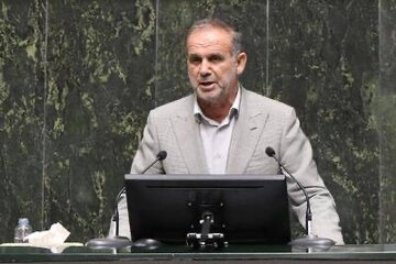 فیاضی: مشکلات داخلی با هماهنگی و همدلی بین قوای مختلف قابل حل است